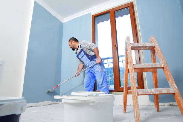 Best Mold Remediation for Rental Properties  in Irwin, SC