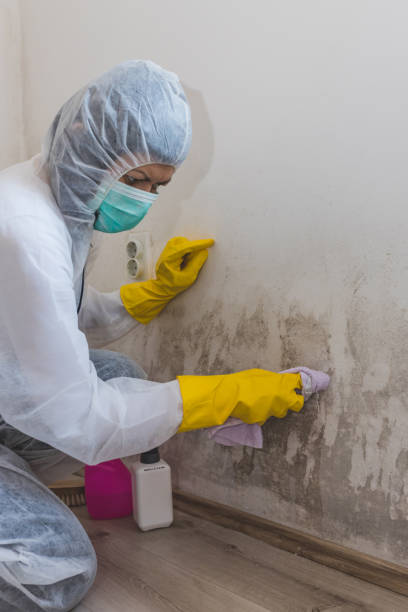 Best Biohazard Mold Removal  in Irwin, SC