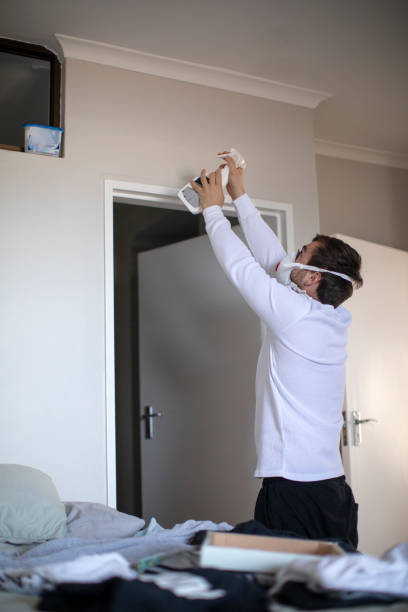 Best Attic Mold Removal  in Irwin, SC