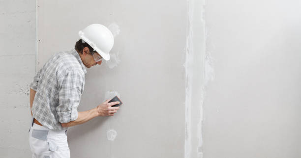 Best Commercial Mold Inspection  in Irwin, SC