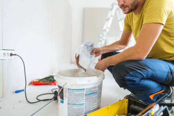 Best Mold Documentation for Insurance Claims  in Irwin, SC
