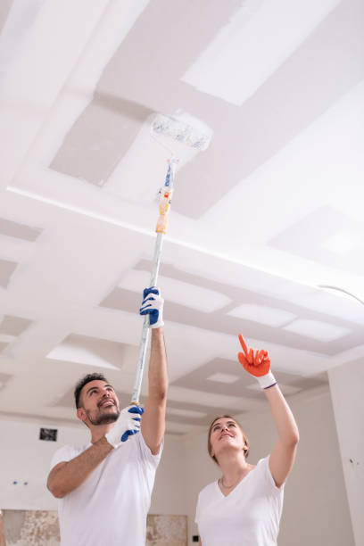 Best Emergency Mold Remediation  in Irwin, SC