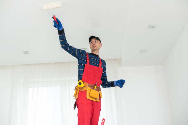 Best Crawl Space Mold Remediation  in Irwin, SC