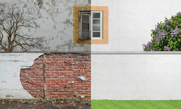 Best Residential Mold Inspection & Testing  in Irwin, SC