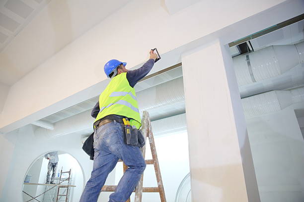 Reliable Irwin, SC Mold Removal Solutions