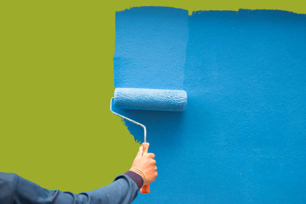 Best Black Mold Removal  in Irwin, SC